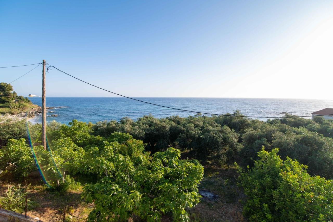 The Happiness Of Vangelis Paralia Vrachou Exterior foto
